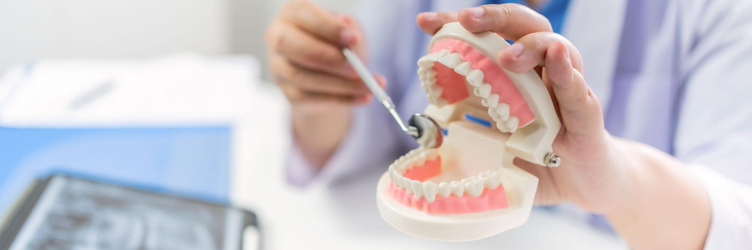 Zahnarzt in der Zahnklinik. Weißer, gesunder Zahn mit Zahnmodell bei Kieferchirurgen, die über Kieferröntgenaufnahmen auf Tablet-Medizin im Gesundheitswesen sprechen. Oralchirurgie-Konzept.