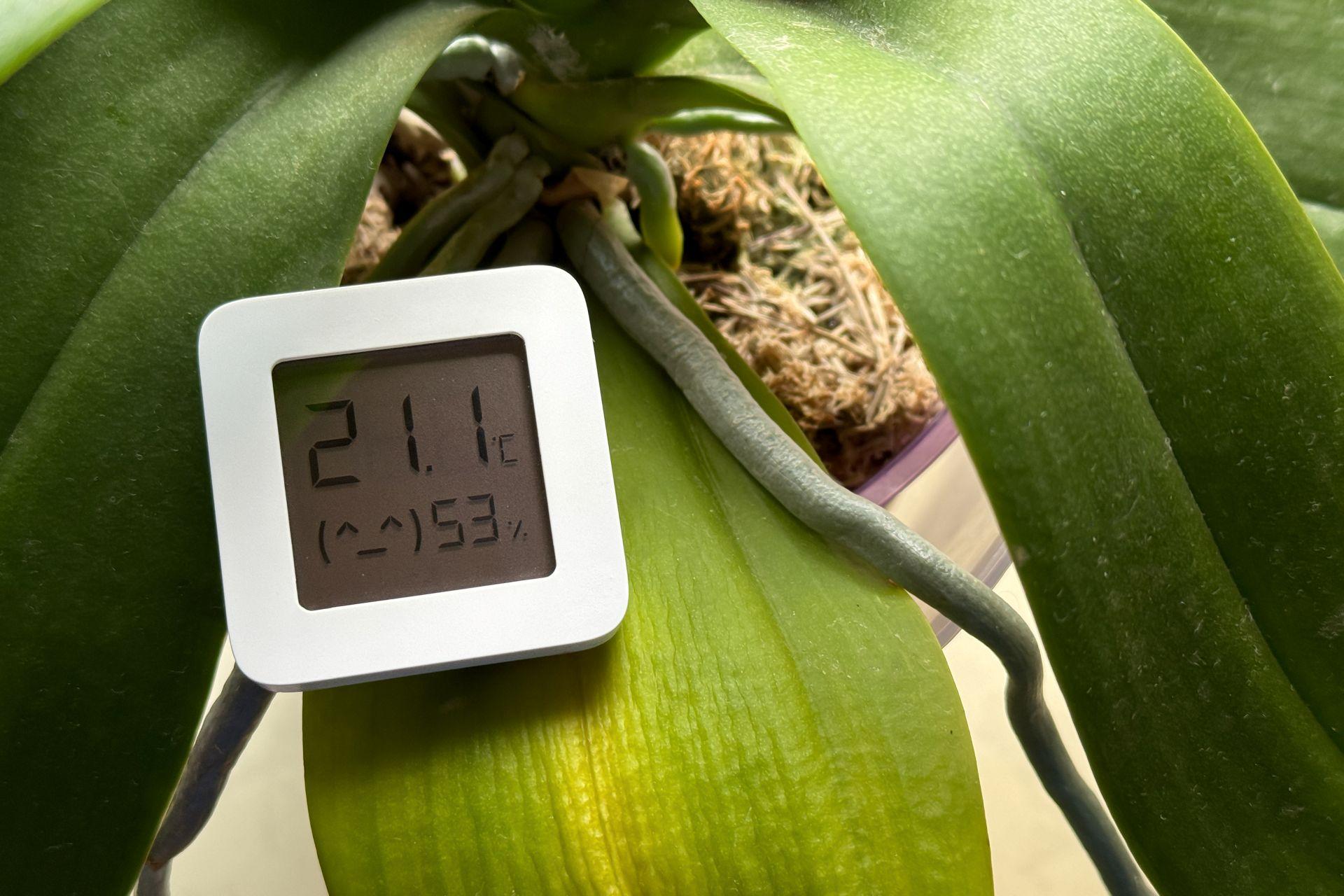 Messung von Raumtemperatur und Luftfeuchtigkeit mit Hygrometer – optimales Klima dank Elektrotherme