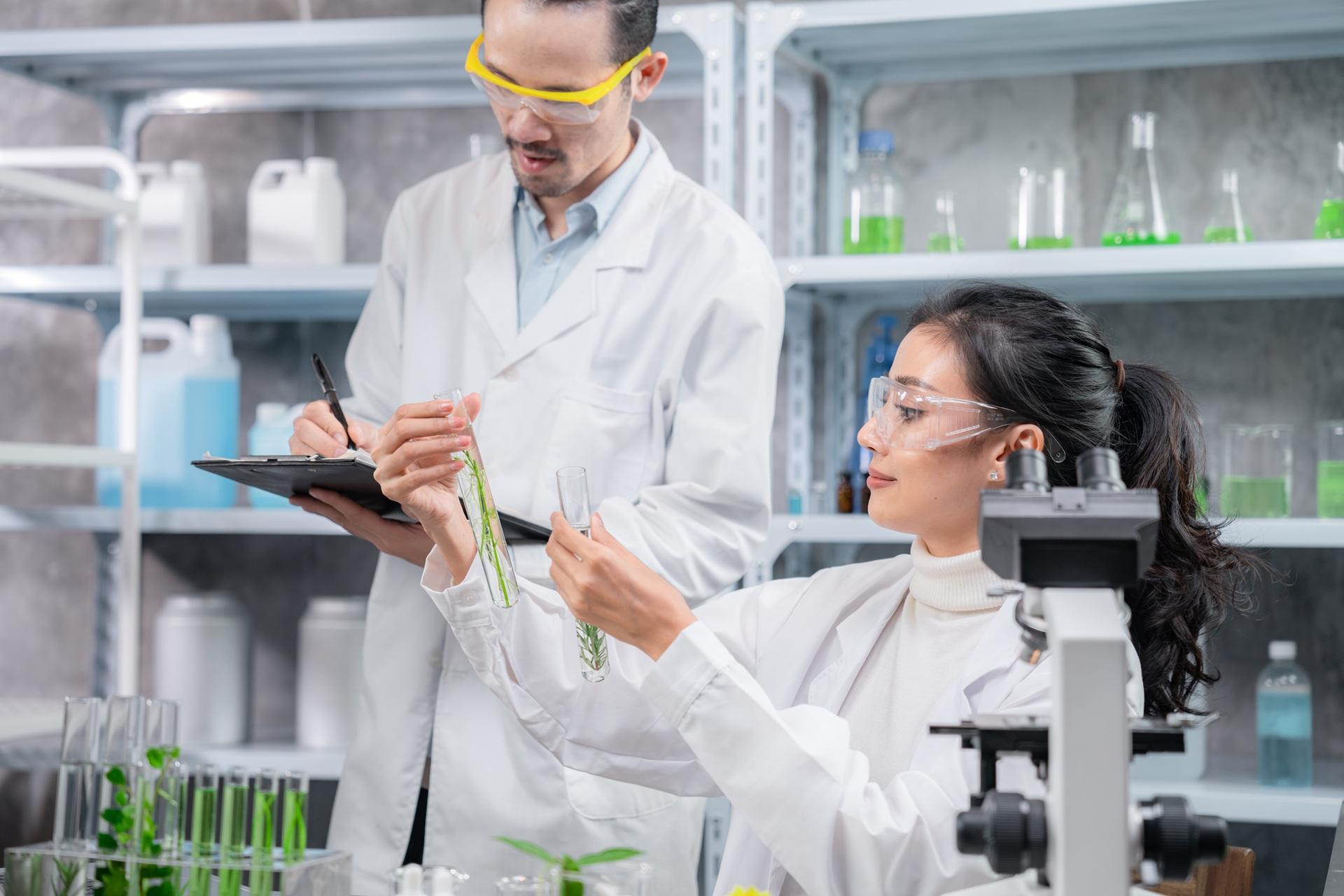 Zwei Wissenschaftler forschen mit Pflanzen im Labor | Marketingübersetzung